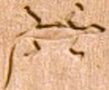 Oud-Egyptisch hieroglief van een hagedis.