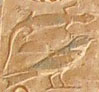 Oud-Egyptisch hieroglief van een hagedis.