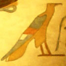 Oud-Egyptisch hieroglief van een adelaar.