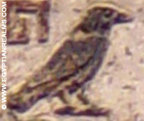 Oud-Egyptisch hieroglief van een zwarte raaf.