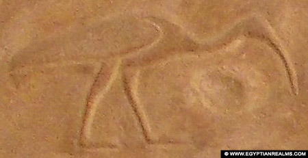 Oud-Egyptisch hieroglief van een Ibis.