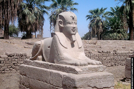 Avenue of the Sphinxes in 2014.
