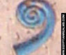 Ancient Egyptian hieroglyph
