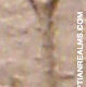 Egyptian hieroglyph
